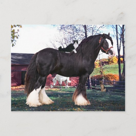 "Fuzzer Rides Again" Postkarte (Vorderseite)