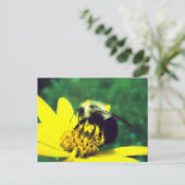 Fuzzy Bumblebee Foto Postkarte (Stehend Vorderseite)