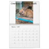 Fuzzy Bunny Rescue 2021 Kalender (Feb 2027)