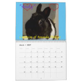 Fuzzy Bunny Rescue 2021 Kalender (Mär 2027)
