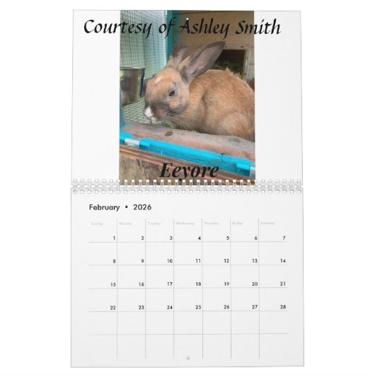 Fuzzy Bunny Rescue 2021 Kalender (Feb 2026)