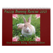 Fuzzy Bunny Rescue 2021 Kalender (Titelbild)