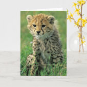 Fuzzy Cheetah Cub Karte (Gelbe Blume)