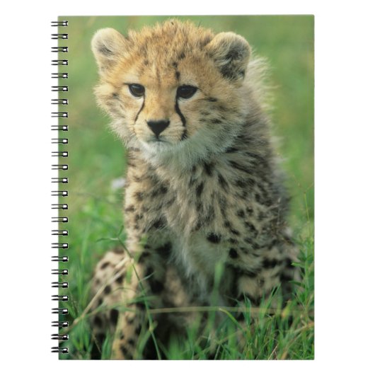 Fuzzy Cheetah Cub Notizblock (Vorderseite)