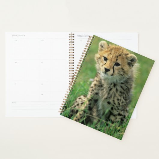 Fuzzy Cheetah Cub Planer (Anzeige)
