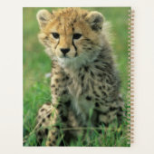 Fuzzy Cheetah Cub Planer (Rückseite)