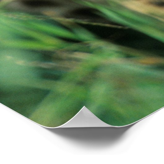 Fuzzy Cheetah Cub Poster (Ecke)