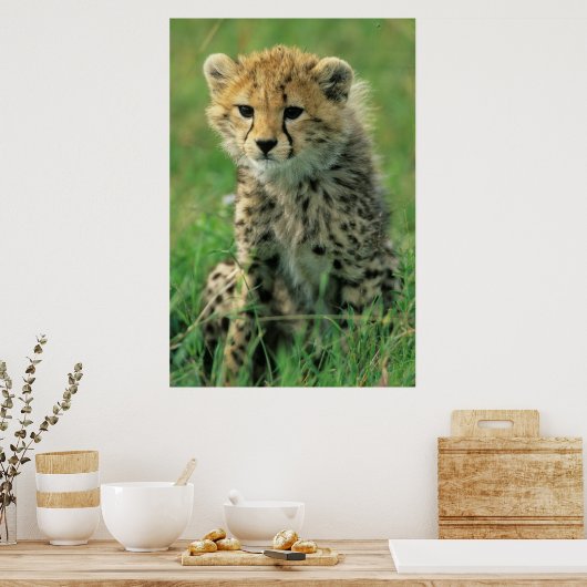 Fuzzy Cheetah Cub Poster (Küche)