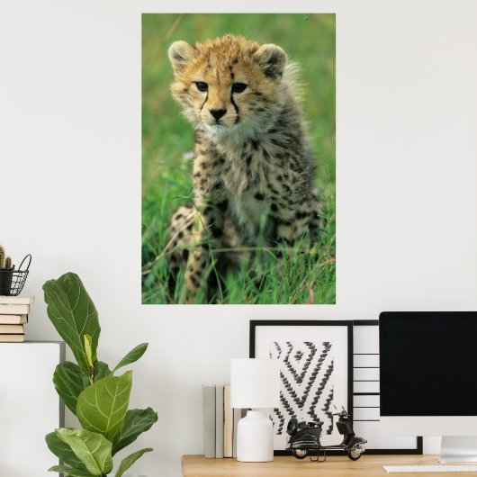 Fuzzy Cheetah Cub Poster (Heimbüro)