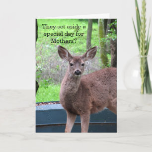 Fuzzy Deer Mother's Day Card Karte