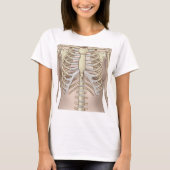 Fuzzy Express® Anatomie des Skeletts von Frauen T-Shirt (Vorderseite)