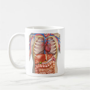 Fuzzy Express® interne Organanatomie Kaffeetasse