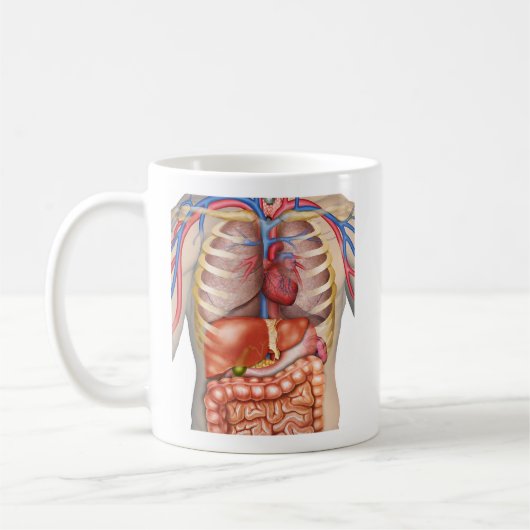 Fuzzy Express® interne Organanatomie Kaffeetasse (Links)