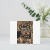 Fuzzy Face Yorkshire Terrier Postkarte (Stehend Vorderseite)