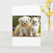 Fuzzy Friends Karte (Gelbe Blume)