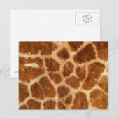 Fuzzy Giraffe Fur Pattern Postkarte (Vorne/Hinten)