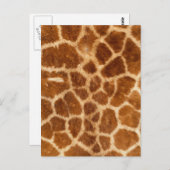 Fuzzy Giraffe Fur Pattern Postkarte (Vorne/Hinten)
