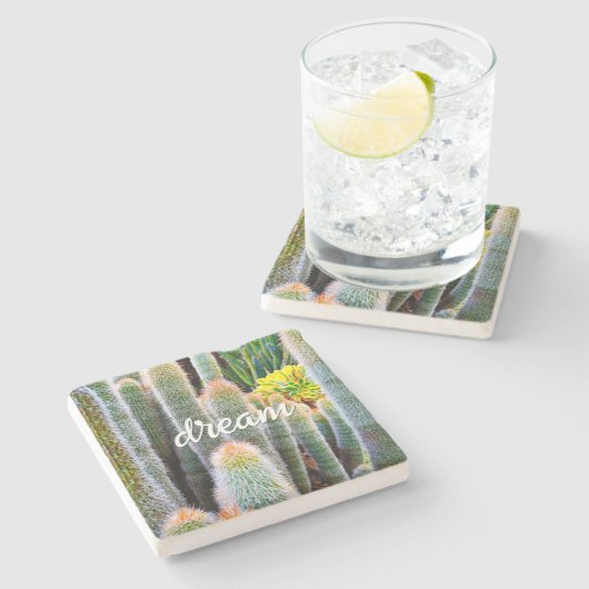 Fuzzy Green Cacti Succulent Foto Dream Script Steinuntersetzer (Seitenansicht)