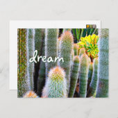 Fuzzy Green Cactus Fotografy Dream Script Bold Postkarte (Vorne/Hinten)