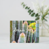Fuzzy Green Cactus Fotografy Dream Script Bold Postkarte (Stehend Vorderseite)