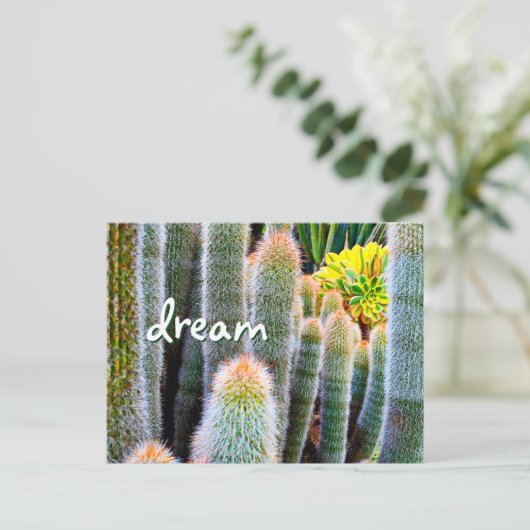 Fuzzy Green Cactus Fotografy Dream Script Bold Postkarte (Stehend Vorderseite)