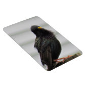 Fuzzy Headed Bird Magnet (Rechte Seite)
