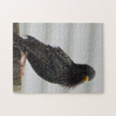 Fuzzy Headed Bird Puzzle (Horizontal)