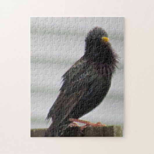 Fuzzy Headed Bird Puzzle (Vertikal)