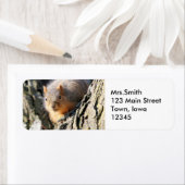 Fuzzy Hintern (Insitu)