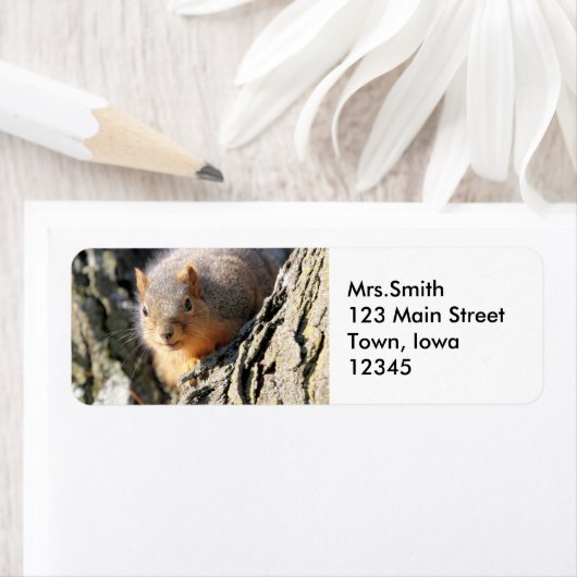 Fuzzy Hintern (Insitu)