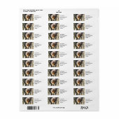 Fuzzy Hintern (Vorne)