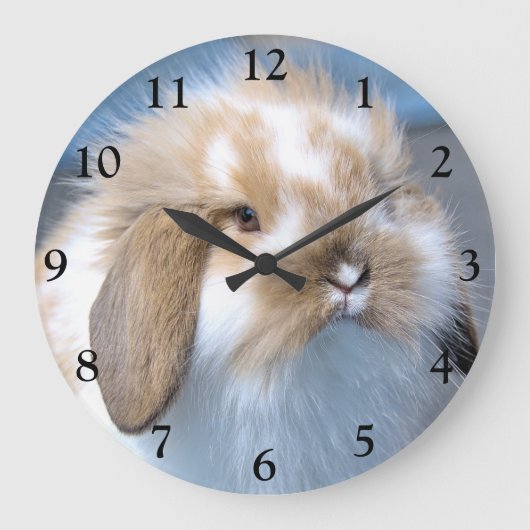 Fuzzy Holland Mini Zwarf Lop Bunny Rabbit Große Wanduhr (Vorderseite)