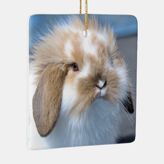 Fuzzy Holland Mini Zwarf Lop Bunny Rabbit Keramikornament (Rechts)