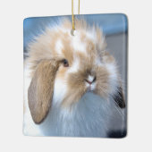 Fuzzy Holland Mini Zwarf Lop Bunny Rabbit Keramikornament (Links)