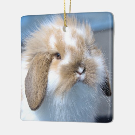 Fuzzy Holland Mini Zwarf Lop Bunny Rabbit Keramikornament (Links)