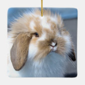 Fuzzy Holland Mini Zwarf Lop Bunny Rabbit Keramikornament (Rückseite)