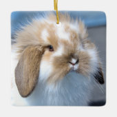Fuzzy Holland Mini Zwarf Lop Bunny Rabbit Keramikornament (Vorderseite)