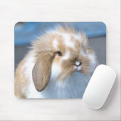 Fuzzy Holland Mini Zwarf Lop Bunny Rabbit Mousepad (Mit Mouse)