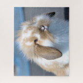 Fuzzy Holland Mini Zwarf Lop Bunny Rabbit Puzzle (Vertikal)