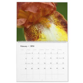 Fuzzy Iris Beards Blume Fotokalender Kalender (Feb 2026)