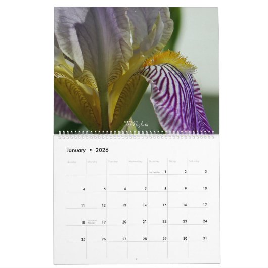 Fuzzy Iris Beards Blume Fotokalender Kalender (Jan 2026)