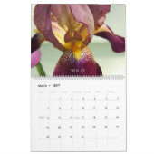 Fuzzy Iris Beards Blume Fotokalender Kalender (Mär 2027)