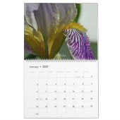 Fuzzy Iris Beards Blume Fotokalender Kalender (Jan 2027)