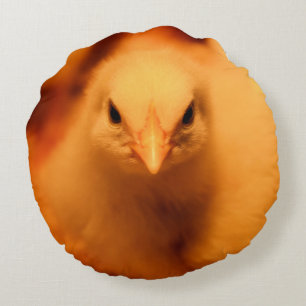 Fuzzy Kissen