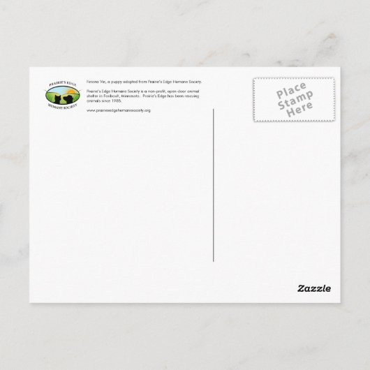 Fuzzy Puppy Postkarte (Rückseite)