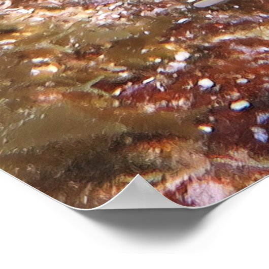 Fuzzy Scorpionfish Poster (Ecke)