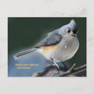 FUZZY SOFT GENTY UND SMART POSTKARTE