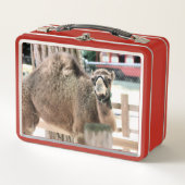 Fuzzy Typ Metall Brotdose (Vorderseite)