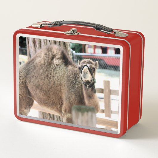 Fuzzy Typ Metall Brotdose (Vorderseite)