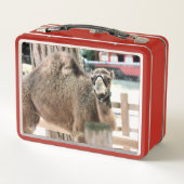 Fuzzy Typ Metall Brotdose (Rückseite)